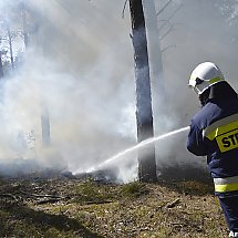 Galeria - Pożar lasu Jasiniecka, 30.06.2019 r. 
fot. Artur Żywociński