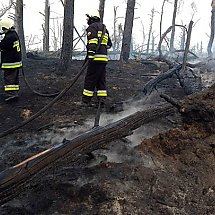 Galeria - Pożar lasu w Paterku, 27 kwietnia 2020, fot. Bydgoszcz998, Facebook