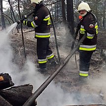 Galeria - Pożar lasu w Paterku, 27 kwietnia 2020, fot. Bydgoszcz998, Facebook
