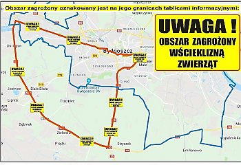 Bydgoszcz już bez „obszaru zagrożonego wścieklizną”