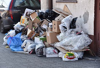 Śmieci zalewają miasto. Ratusz nie widzi problemu? [ZDJĘCIA]