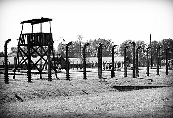 108 męczenników II wojny światowej – wspomnienie