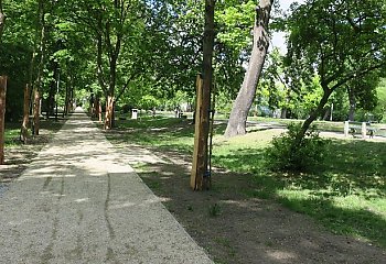 Alejki spacerowe wokół Starego Kanału Bydgoskiego. Realizacja projektu BBO