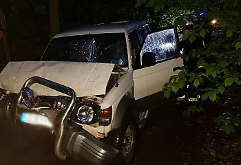 Auto uderzyło w drzewo, a kierowca zbiegł [ZDJĘCIA] 