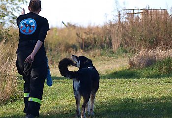 Kujawsko-pomorskie ma pierwszego psa poszukiwacza - Loca