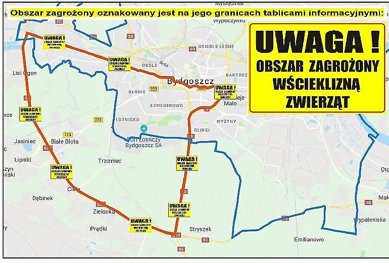 Bydgoszcz już bez „obszaru zagrożonego wścieklizną”