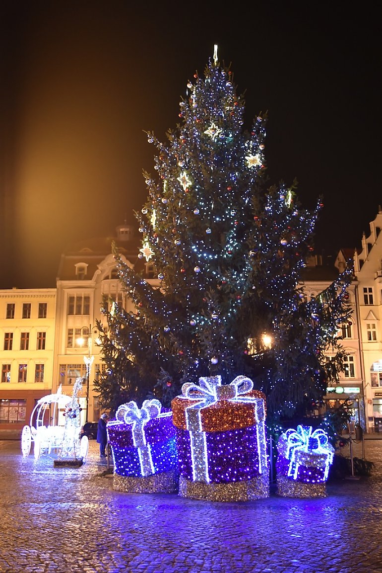 Bożonarodzeniowa choinka już stoi na Starym Rynku