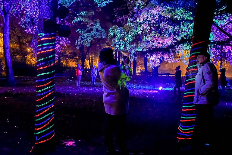 Iluminacje rozjaśniły park Kochanowskiego. „Baśniowy Ogród Świateł” [ZDJĘCIA]