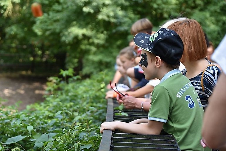 Zoo z wakacyjną ofertą dla dzieci i rodziców