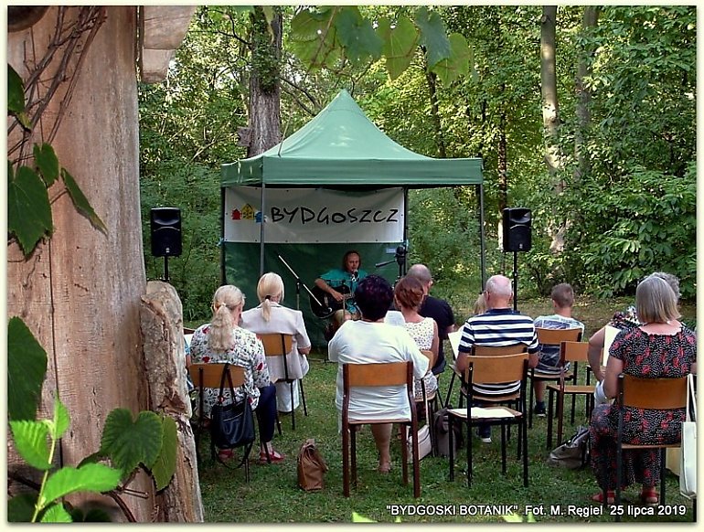 Poetycko na „krokusowej łączce”. Partyka w Botaniku