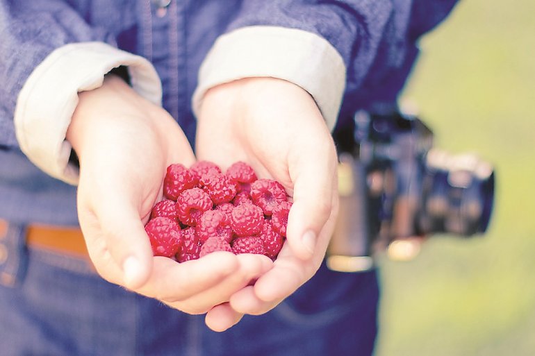 Żywność do zadań specjalnych: dieta a nowotwory