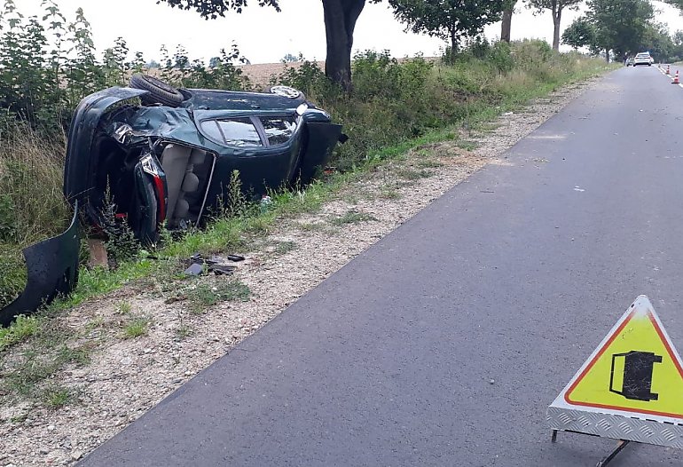 Kota ocaliła, ale auto się przewróciło 