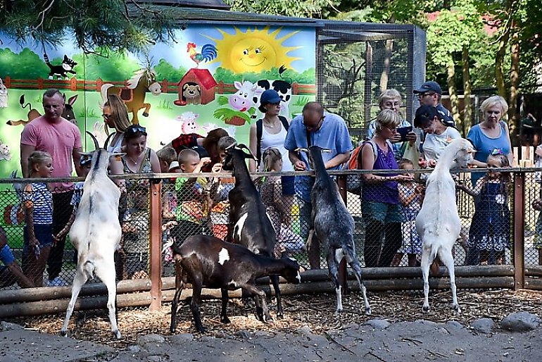 Zwierzęta zmotywują do nauki angielskiego. Wyjątkowa lekcja w zoo