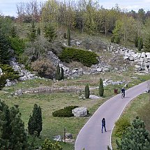 Galeria - Ogród Botaniczny, Myślęcinek, niedziela 26.04.2020 r /fot. Anna Kopeć