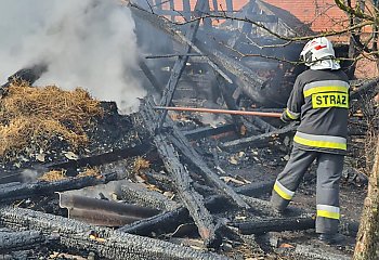 Kolejny w ostatnich dniach pożar w Dąbrowie Wielkiej [GALERIA]