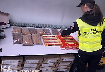 Nielegalny tytoń w Bydgoszczy i okolicy. Blisko 500 kilogramów